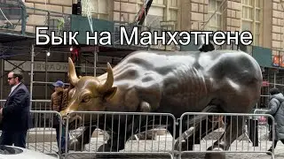 Статуя быка на Манхэттене. Пошли гулять?