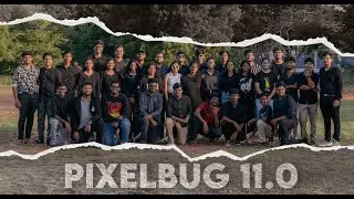 11 Years of Pixelbug