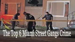 National Documentary The Top 6 Miami Street Gangs Crime