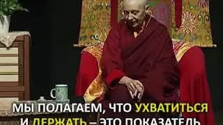 Любовь - это осторожное прикосновение... | Суть Веры