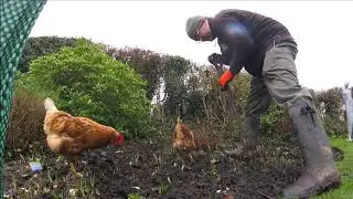 Winter Garden Tidy up