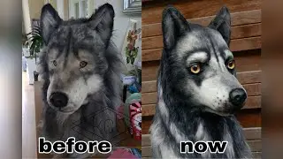 how to made a realistic wolf dog fursuit head (refurbished my old wolf head) diy