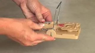 Victor Power Kill Rat Trap Instructional Video