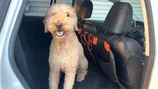 Heavy Duty Car Seat Cover + Extender For Dogs