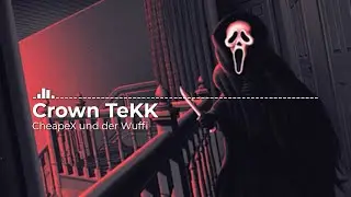 Crown TeKK - CheapeX und der Wuffi