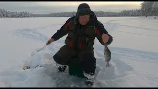 Рыбалка в Карелии. Ловля окуня в декабре.