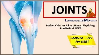 LECTURE - 9 | Joints | Types of Joints - Fibrous, Cartilaginous and Synovial Joints | NEET