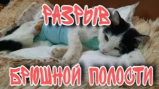 Операция прошла УСПЕШНО. Но долго отходим от НАРКОЗА.