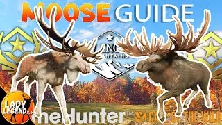 GREAT ONE Moose SET-UP ZONE GUIDE for New England Mountains!!! - Call of the Wild