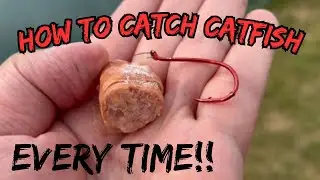 HOW TO Catch Catfish From The Bank - Catfishing Tips & Baits