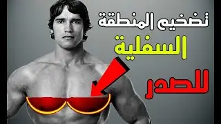 5 تمارين استهداف عضلة الصدر السفلي (تمرين بنش سفلي) | Lower chest Workout
