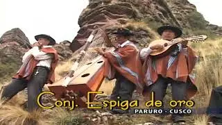 CONJUNTO ESPIGA DE ORO - PUCUYCITO
