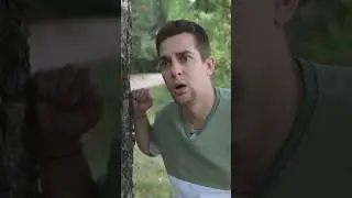 ТАЙНЫЙ ЛЕС 2 ❌ Лучший комментарий закреплю