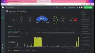 [#DirectAdmin] Tích hợp NetData để theo dõi máy chủ