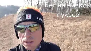Бег на низком пульсе