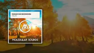 Rowan van Beckhoven - Helios (Extended Mix) [Molekular Sounds]