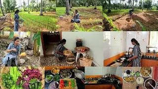 வானம் எனக்கொரு போதி மரம் நாளும் எனக்கது சேதி தரும்/Vegetables Harvesting and cooking healthy lunch🌱