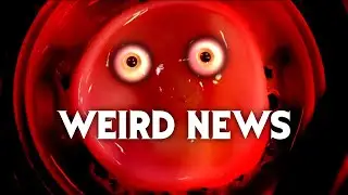 The Bangkok Cyanide Mystery (And Other Weird News)