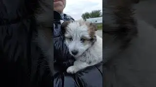 спасем малыша  вместе ❤️ 