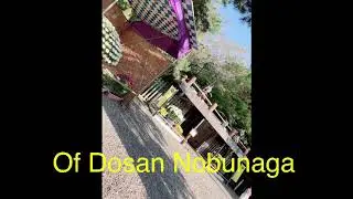 One of the most wonderful place here in  Japan,The gifu casle of Dosan and Nobunaga#japinas vlogs