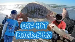 One Fish Trips