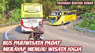 TIKUNGAN BOKONG SEMAR PADAT MERAYAP