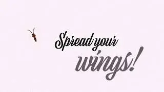Be a Butterfly