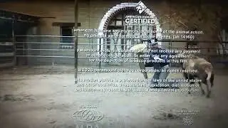 Digital cinema ending, Jackass best and last 2026