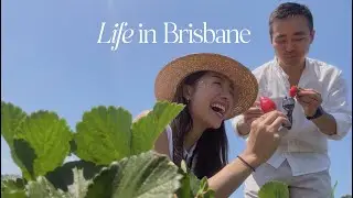 living in brisbane | strawberry picking at luvaberry - eat as you pick! | vlog