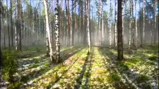 My film Гроза в деревне.