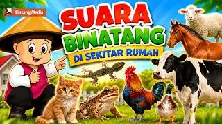 Mengenal Suara Hewan untuk Anak - Video Edukasi Anak Indonesia
