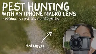 looking at plants with a zoom macro lens 👀🔎