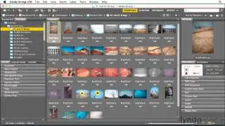 3 - что такое Adobe Bridge  (фотошоп с нуля)