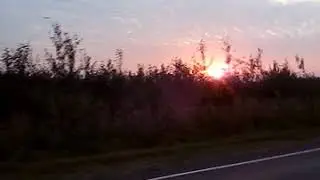 Прекрасное утро