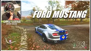 MUSTANG GT ASMR PEACEFUL DRIVE IN FORZA HORIZON 4 WITH LOGITECH G29 STEERING WHEEL.
