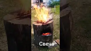 #shorts#shortsvideo#2024#свеча#live#круто#new#like#отдых#лето#я#дача