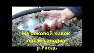 На боковой кивок после паводка. 13 апреля 2024 г. Река Уводь.