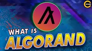 What is Algorand  | Algorand Explained Under 2 minutes | Algorand Crypto Review