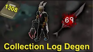 I Anti-Pked 50M+ while Pet Hunting ~ Ironman Collection Log Degen E98
