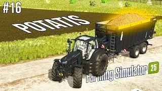 #16 | Säljer 80 000 liter potatis | Farming simulator 2025