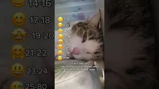 6 ноября 2023 г.