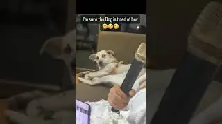 Dog is tired of her singing 🤣 #dog #cute #reactionvideo #shorts #pet