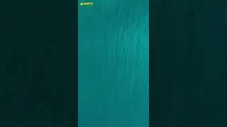 Завораживающая природа Анапского региона вблизи проекта Южный склон
