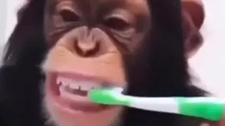 YouTube short vairal Short video 🤣🤣#trending #shorts #funny #comedy #vairal