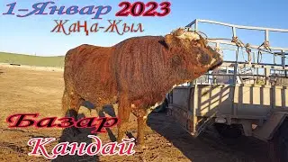 Шымбай мал базар/1-Январ/2023/Мал Базар 2023/Скотный рынок/Shimbay mal bazar/mal bazar 2023/мал/бурд