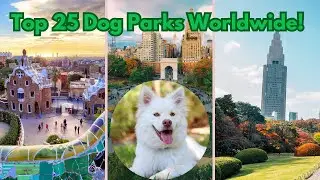 🌳Top 25 Dog Parks Around the World 🌍 25 Must-Visit Dog Parks Across the Globe 🌐Dog Parks Worldwide