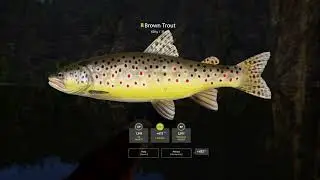 RF4 - Belaya River + Trophy Grayling