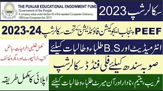 PEEF Inter & BS Scholarship SINDH 2023 | PEEF Scholarship 2023 Online Apply