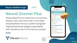 Vibrant's Neural Zoomer Plus - Report Walkthrough