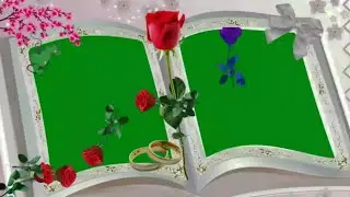 Green Screen Background video | Green Screen Effect Background hd video